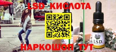 дмт Сланцы