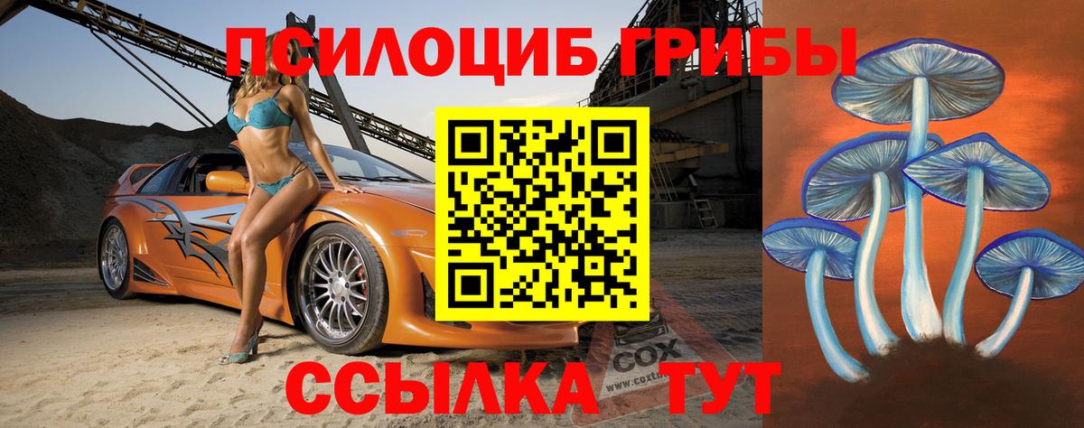 купить  сайты  Вход с VPN  Псилоцибиновые грибы ЛСД  Новодвинск  Псилоцибиновые грибы Psilocybine cubensis 